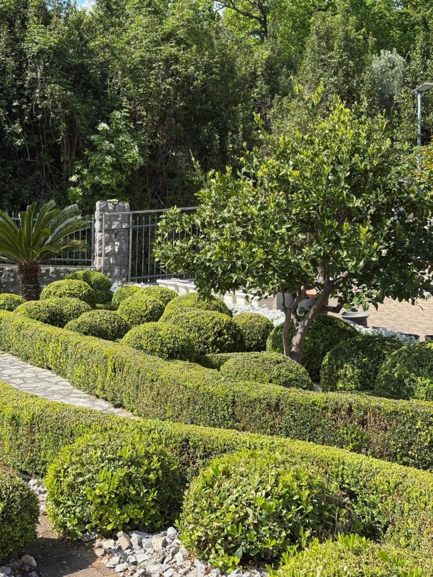 Bed And Breakfast Villa Iris Mošćenička Draga Kültér fotó