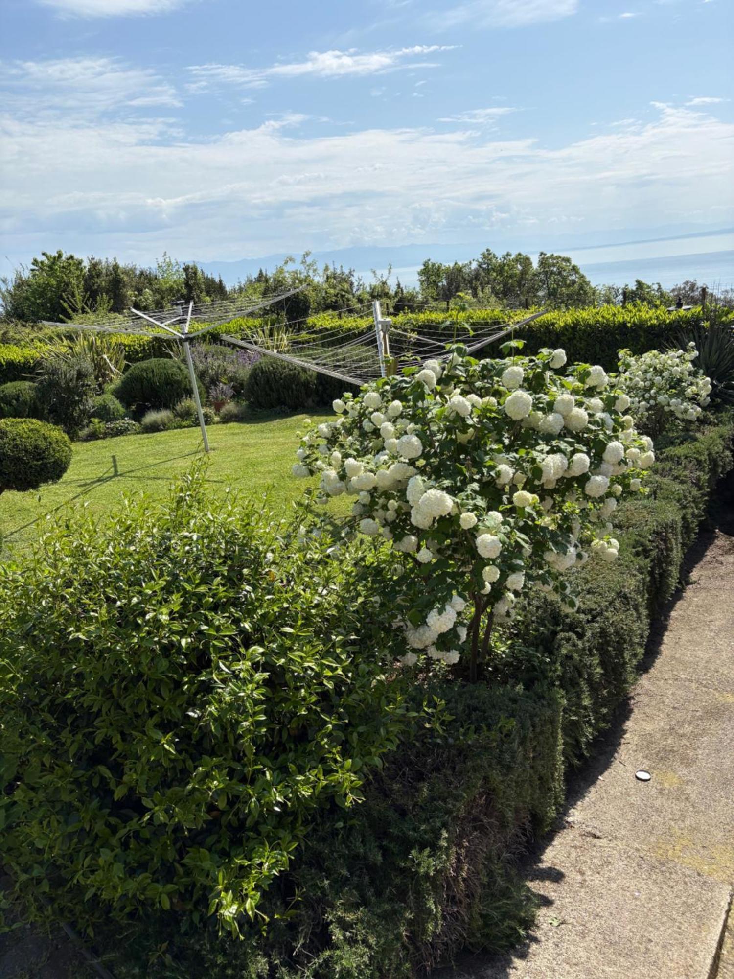 Bed And Breakfast Villa Iris Mošćenička Draga Kültér fotó