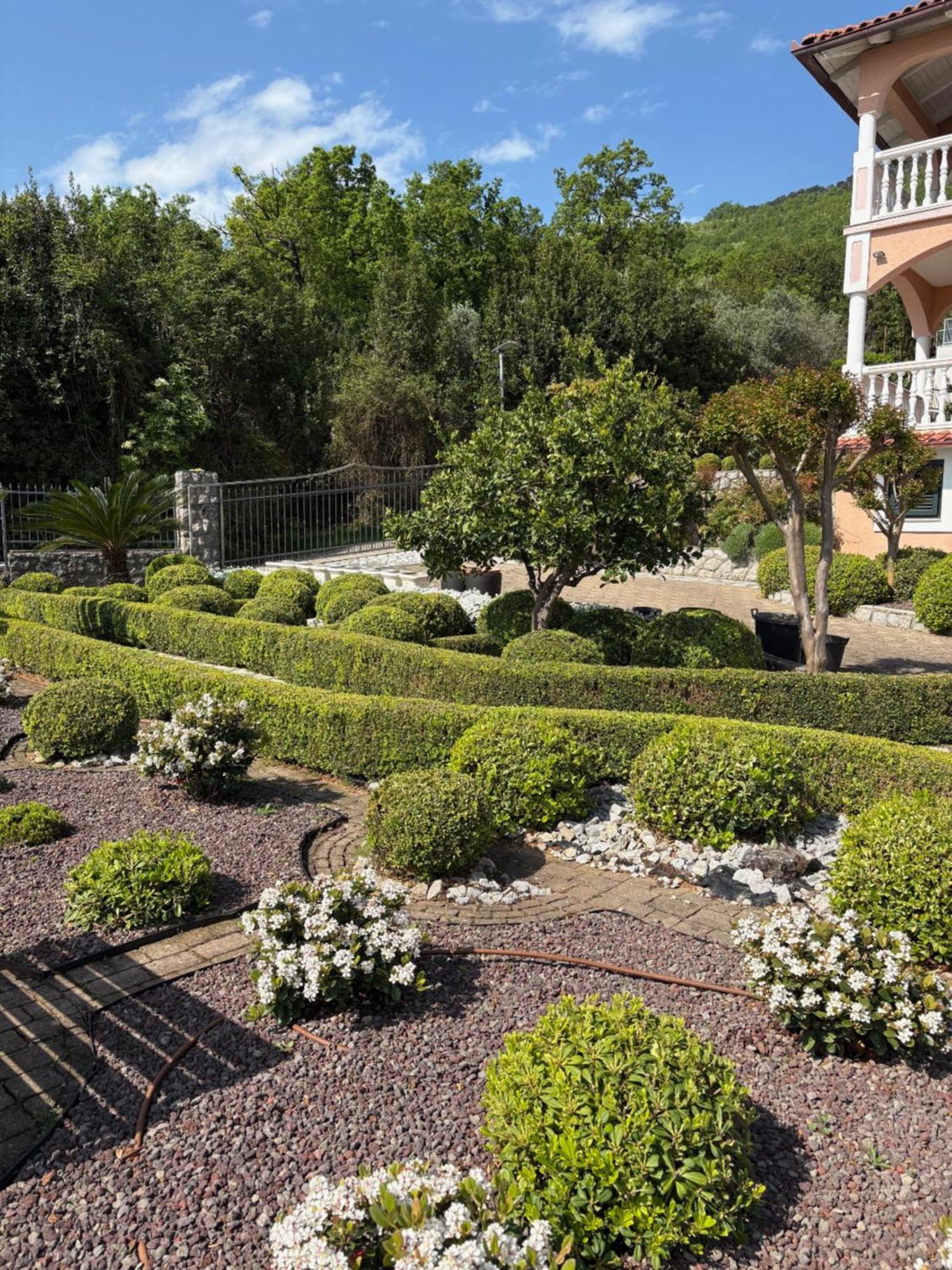 Bed And Breakfast Villa Iris Mošćenička Draga Kültér fotó