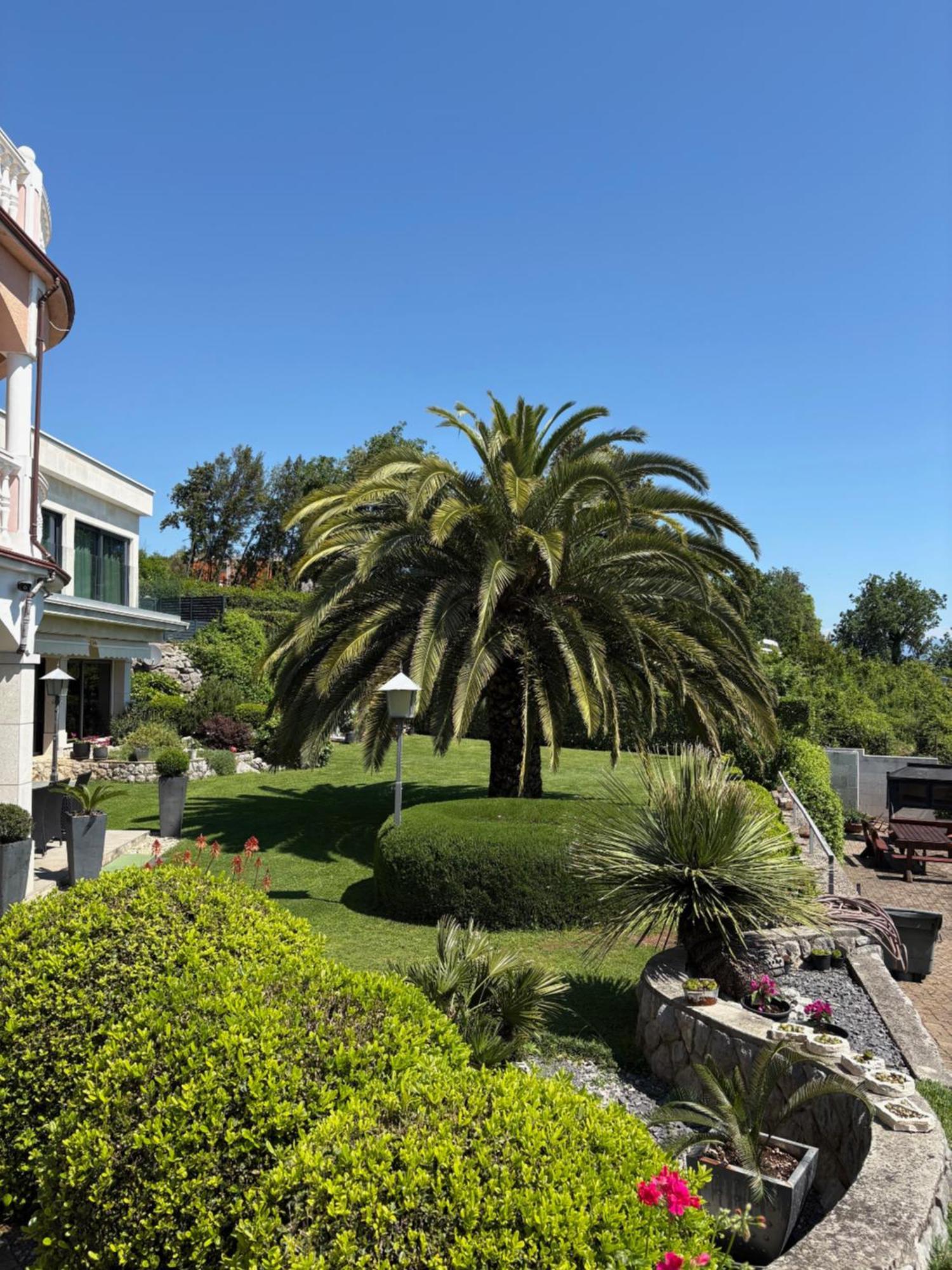 Bed And Breakfast Villa Iris Mošćenička Draga Kültér fotó