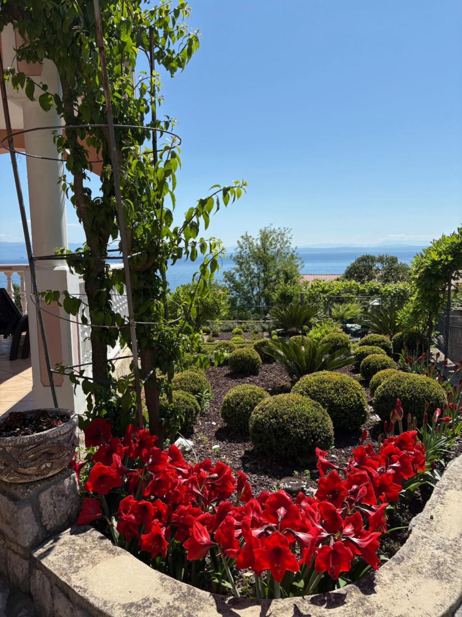 Bed And Breakfast Villa Iris Mošćenička Draga Kültér fotó